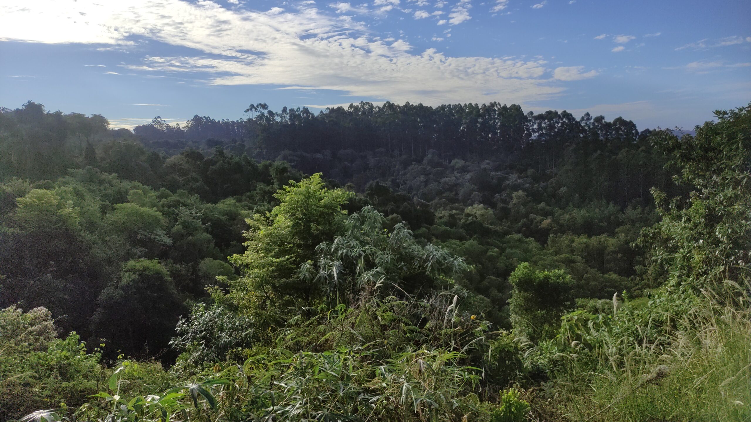 🌿 O Refúgio Perfeito entre a Produtividade e a Natureza em Rio Antinhas
