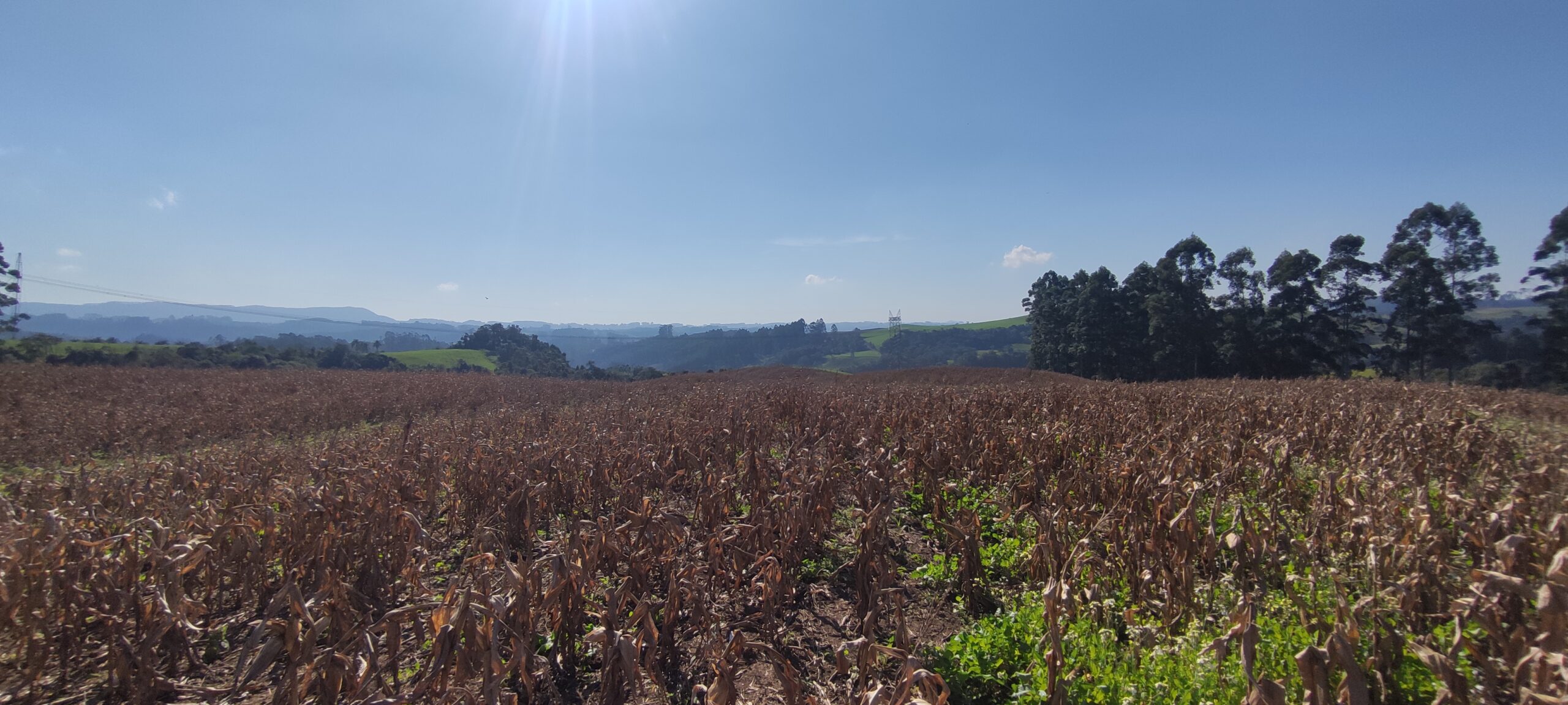 Terreno de Plantio em Petrolândia Santa Catarina