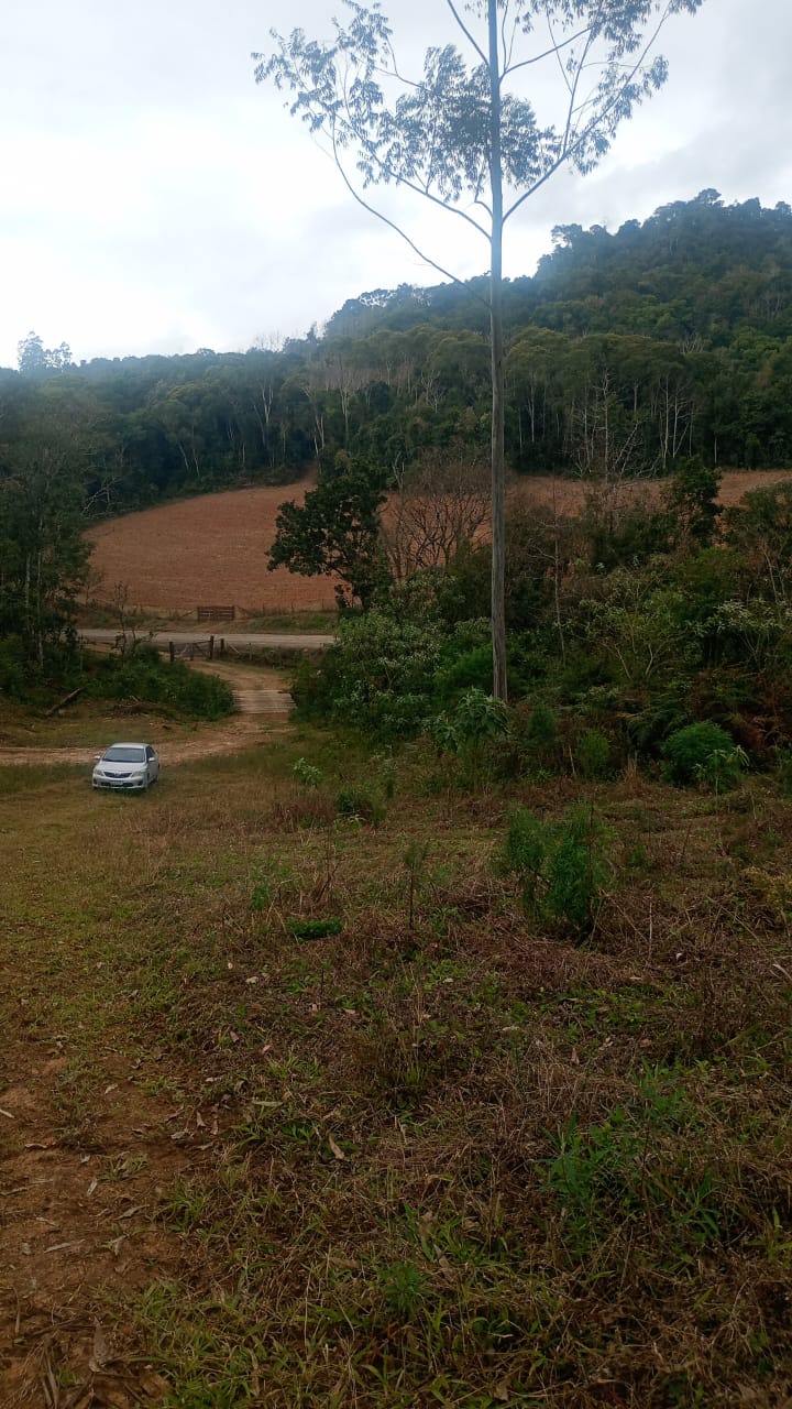 Lindo Terreno em Aurora Santa Catarina