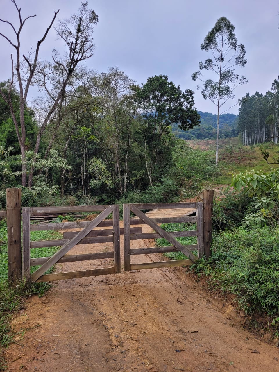 Lindo Terreno em Aurora Santa Catarina