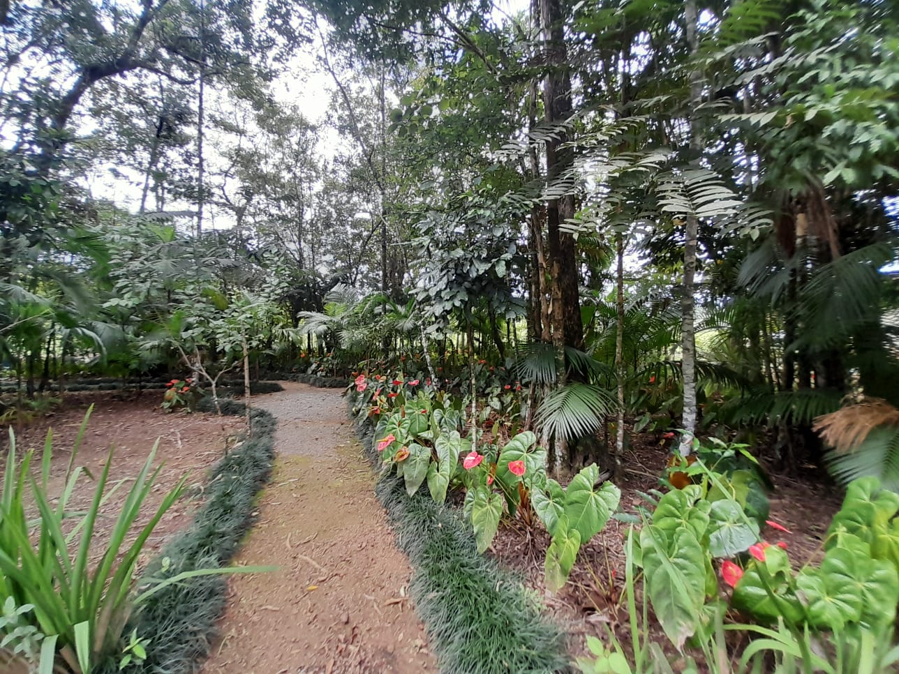 O Paraíso Particular que Gera Renda: Sítio Completo no Vila Nova, Joinville!